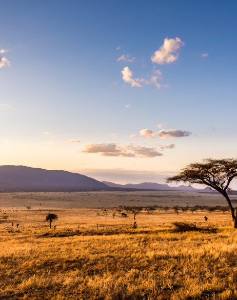 Scenic view of Kenya